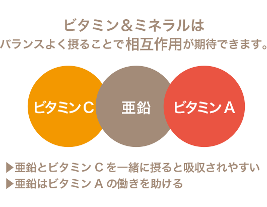 ビタミン＆ミネラルはバランスよく摂ることで相互作用が期待できます。